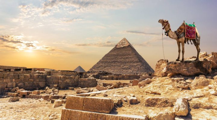 السياحة العلاجية وزراعة الشعر في مصر