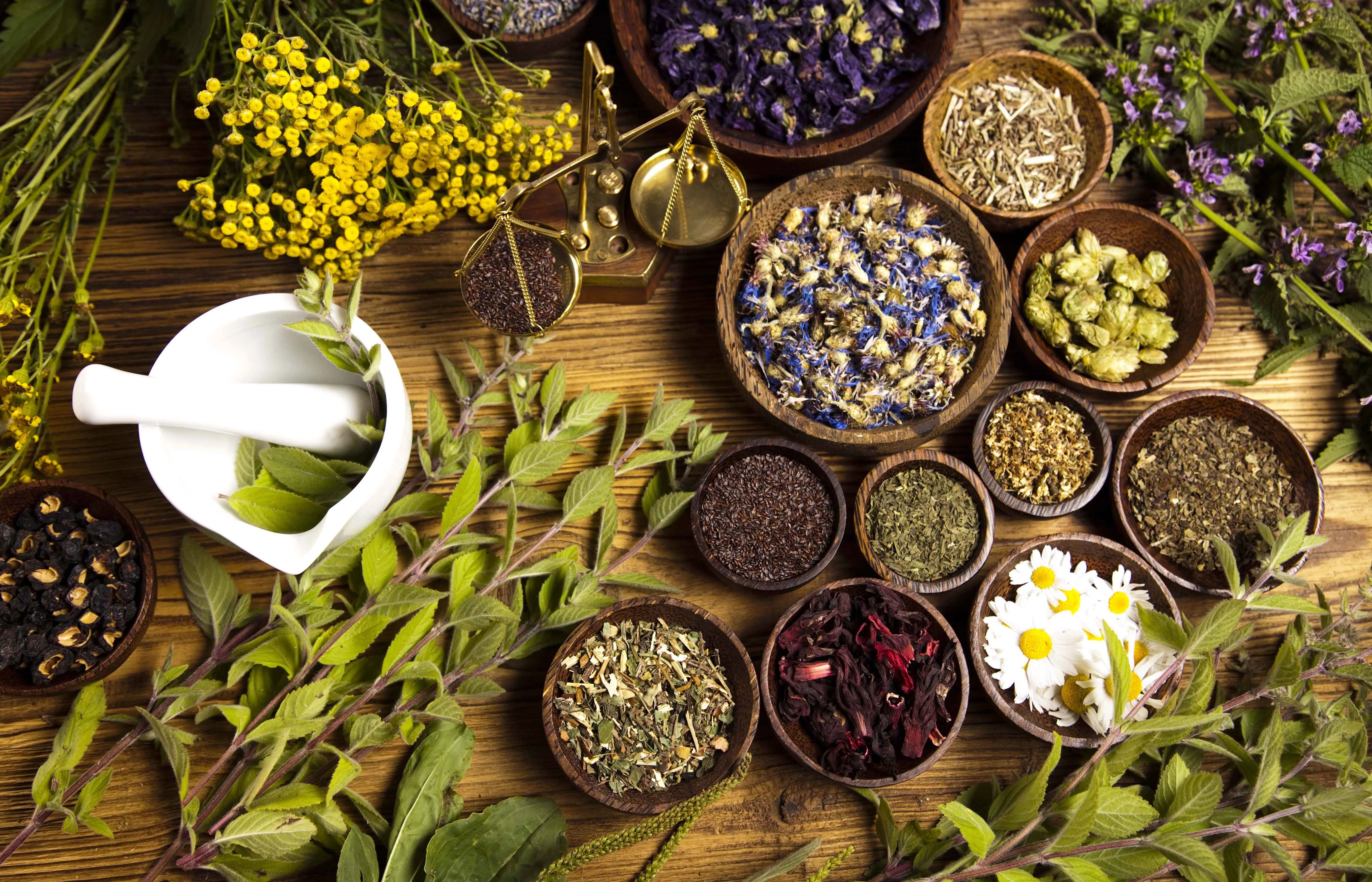 علاج الصلع بالأعشاب